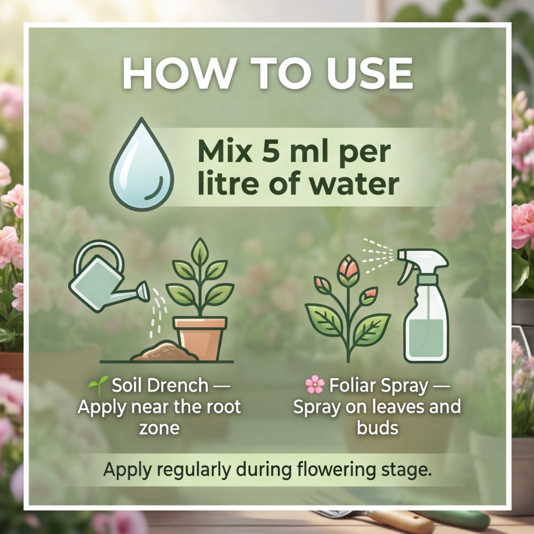 Zinnia Flower Bloom – Organic Bio Fertilizer for Zinnia 50 ml | Makes upto 10 Ltr