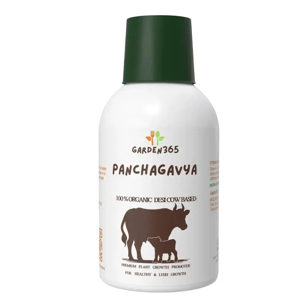 Panchagavya Liquid for Plants | desi cow based rich in nutrients Garden365