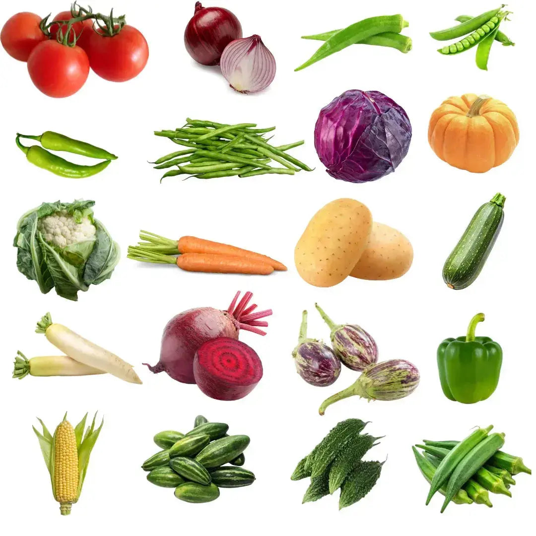 Garden365 Complete Seeds Starter Kit | 12 Easy-to-Grow Vegetables & Herbs - Garden365