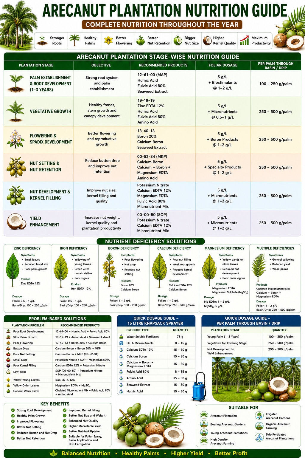 Arecanut Plantation Nutrition | Fertilizers, Micronutrients & Biostimulants for Arecanut Plantation