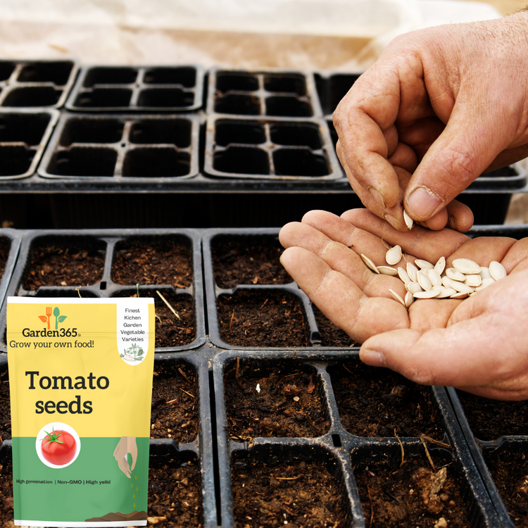 Vegetable Seeds