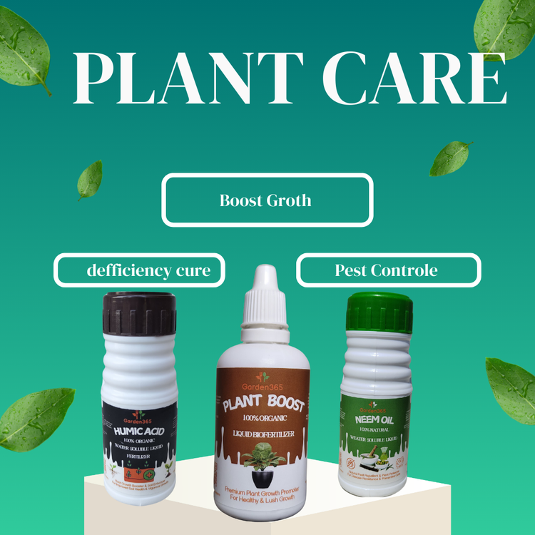 Plant care