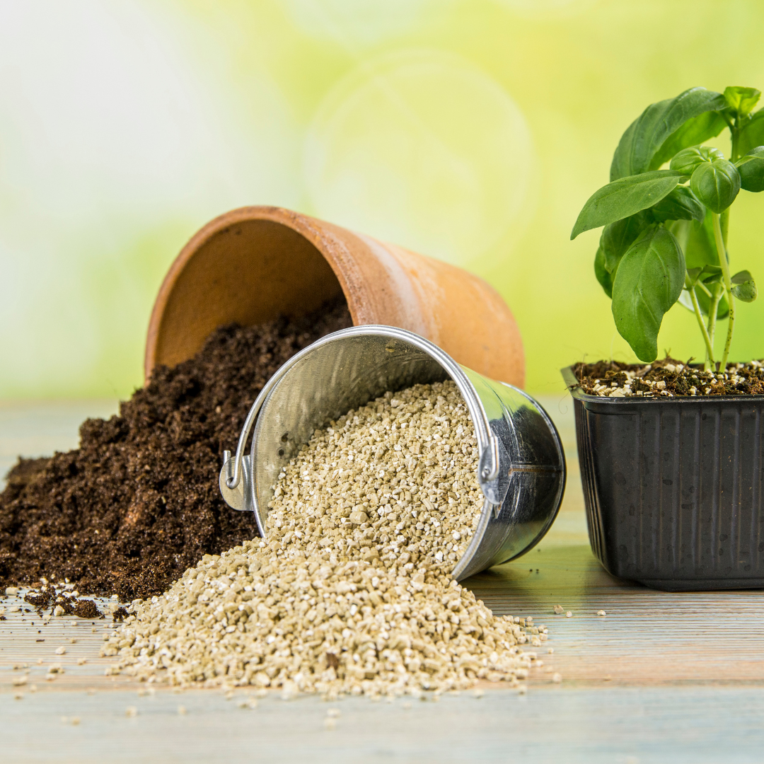 Soil & Potting Mix
