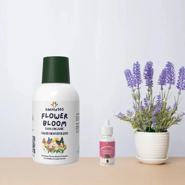 Flower-Bloom Garden365