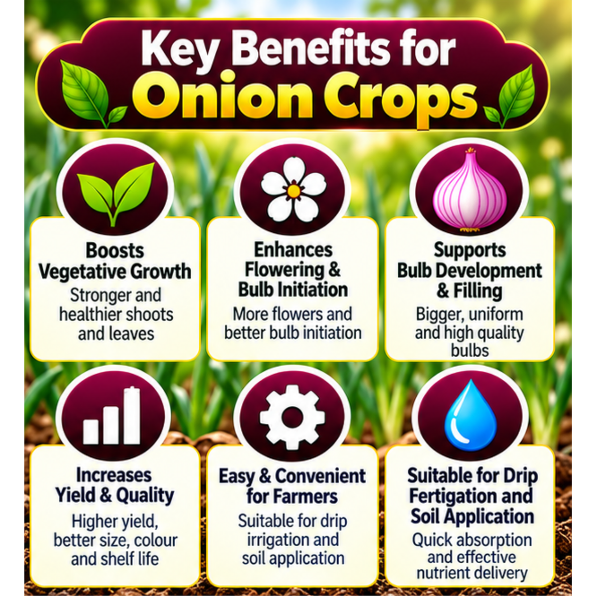Onion Organic Master 7X Crop-Specific Organic Fertilizer Water Soluble Organic Fertilizer