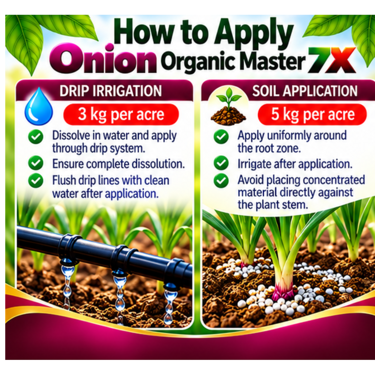 Onion Organic Master 7X Crop-Specific Organic Fertilizer Water Soluble Organic Fertilizer