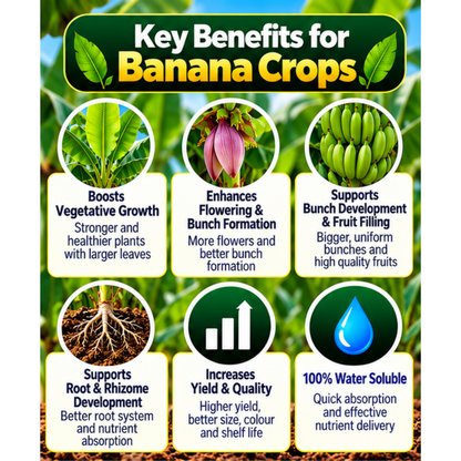 Banana Organic Master 7X Crop-Specific Organic Fertilizer Water Soluble Organic Fertilizer