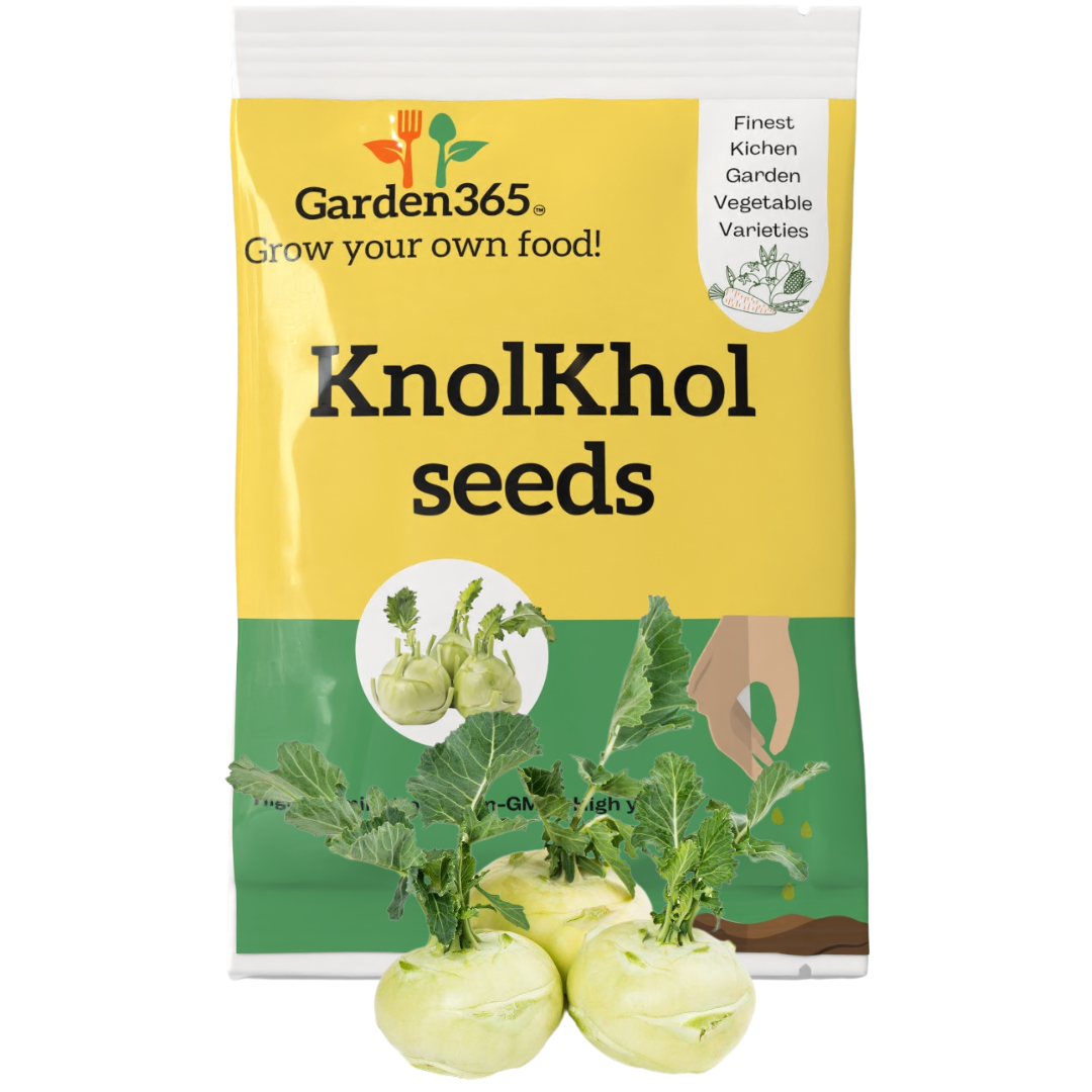 Organic Heirloom Knolkhol Seeds (Kohlrabi / Ganth Gobhi) - Garden365