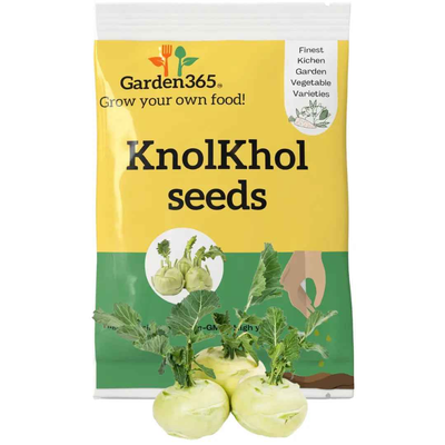 Knolkhol Seeds (Kohlrabi / Ganth Gobhi) | Organic Heirloom Naati Seeds | 30 Seeds | Kitchen Garden Seeds of गांठ गोभी / ನವಿಲುಕೋಸು / నేలగడ్డకోసు / நோல்கோல் / നൂൾക്കോൽ