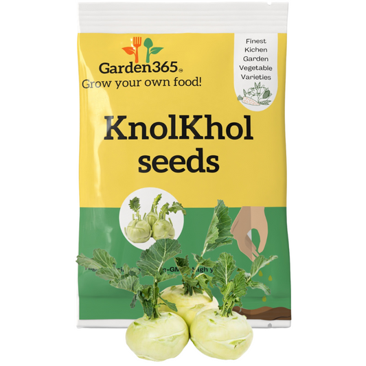 Organic Heirloom Knolkhol Seeds (Kohlrabi / Ganth Gobhi) - Garden365