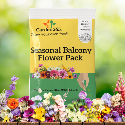 Seasonal Balcony Flower Pack – Colorful Blooms All Year | Pack of 6 premium Flower seeds - Garden365