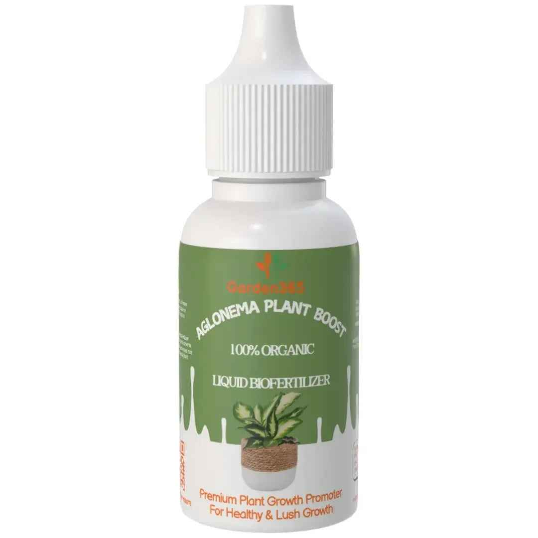 fertilizer for aglaonema plants Aglonema Plant Boost – Organic Bio Fertilizer for Aglonema 50 ml