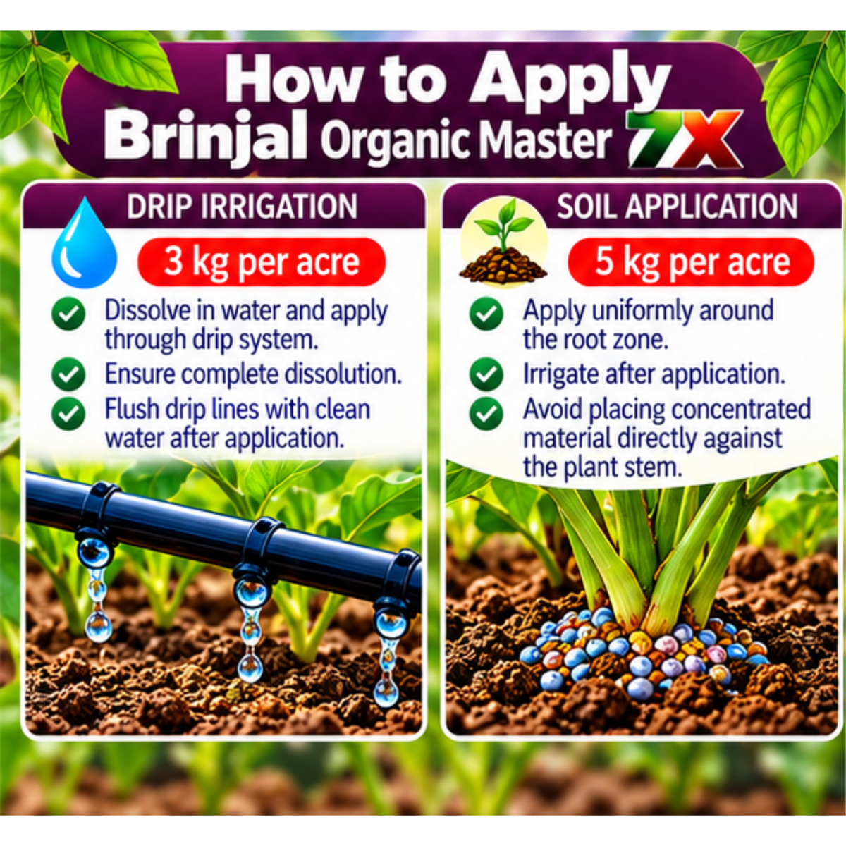 Brinjal Organic Master 7X Water Soluble Organic Fertilizer