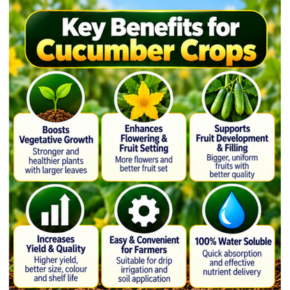Cucumber Organic Master 7X Water Soluble Organic Fertilizer