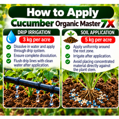 Cucumber Organic Master 7X Water Soluble Organic Fertilizer