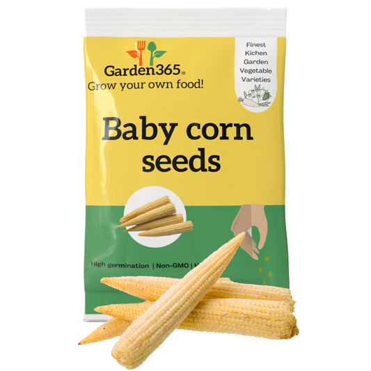Organic Heirloom Baby Corn Seeds - Garden365