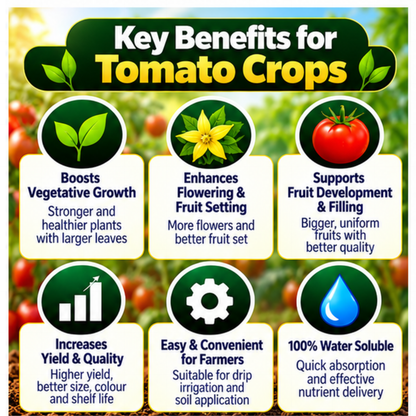 Tomato Organic Master 7X 100% water-soluble organic fertilizer