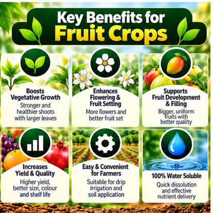 Fruit Crops Organic Master 7X Water Soluble Organic Fertilizer