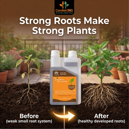 Root Growth Booster Liquid Bio Fertilizer 250ml | Humic & Fulvic Enriched Formula | Suitable for All Types of Plants