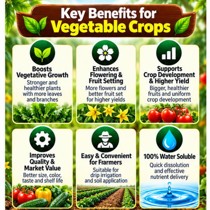 Vegetable Crops Organic Master 7X Water Soluble Organic Fertilizer