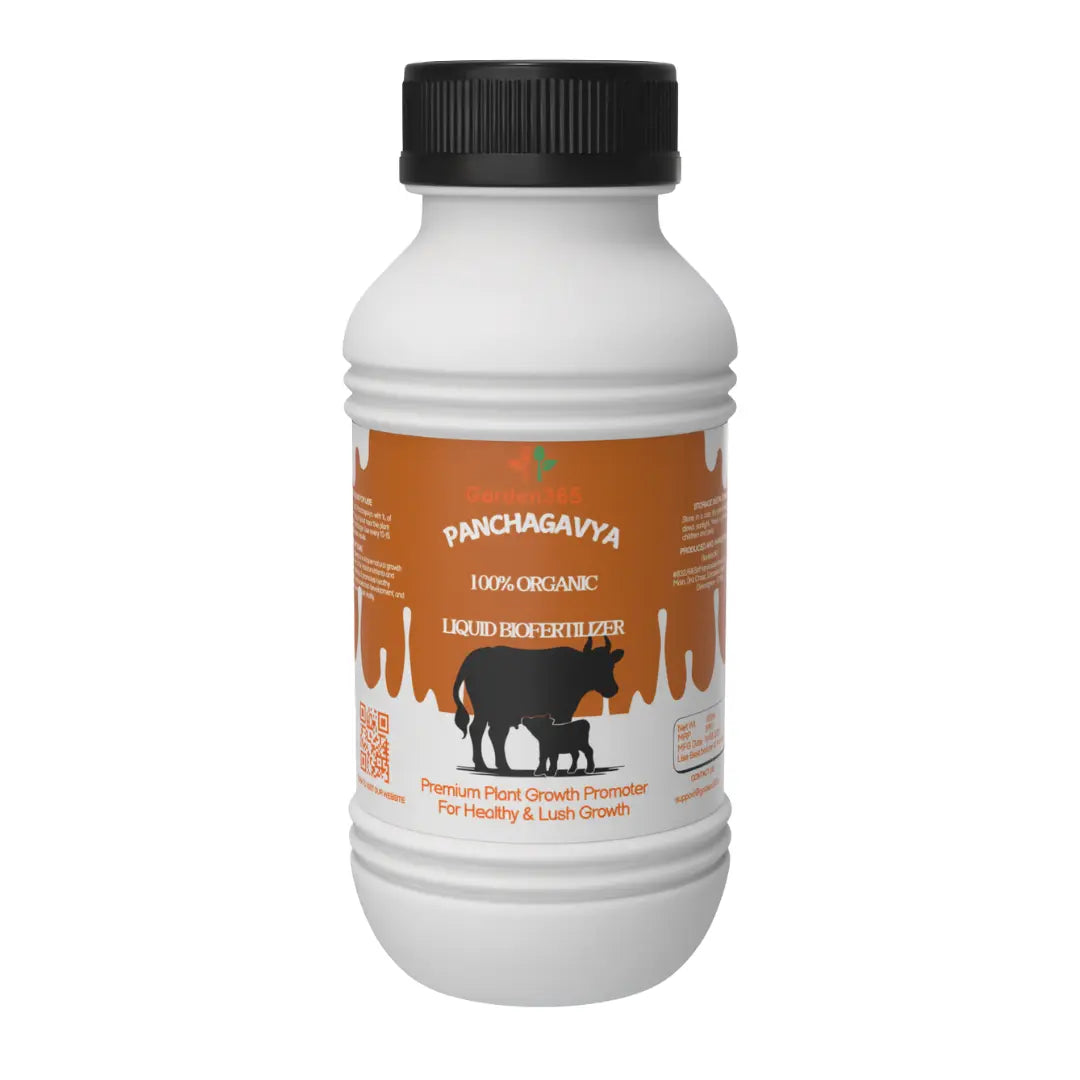 Panchagavya Liquid for Plants  | desi cow based rich in nutrients Garden365