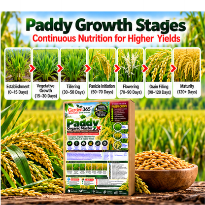 Paddy Organic Master 7X Crop-Specific Organic Fertilizer Water Soluble Organic Fertilizer