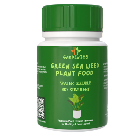 Green Seaweed Plant Food Powder – 250 g | Natural Bio-Stimulant for Healthy Plants Garden365