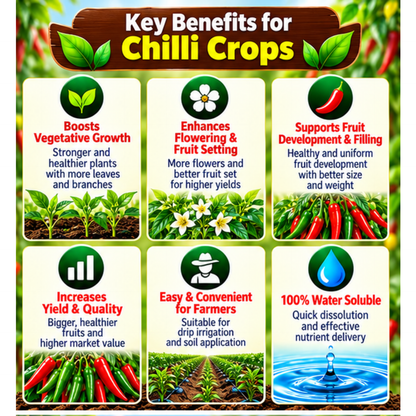 Chilli Organic Master 7X Water Soluble Organic Fertilizer