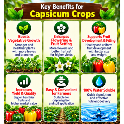 Capsicum Organic Master 7X Water Soluble Organic Fertilizer