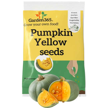 Yellow Pumpkin Seeds | Organic Heirloom Naati Seeds | 15 Seeds | Kitchen Garden Seeds of पीला कद्दू / ಹಳದಿ ಕುಂಬಳಕಾಯಿ / పసుపు గుమ్మడికాయ / மஞ்சள் பரங்கிக்காய் / മഞ്ഞ മത്തങ്ങ