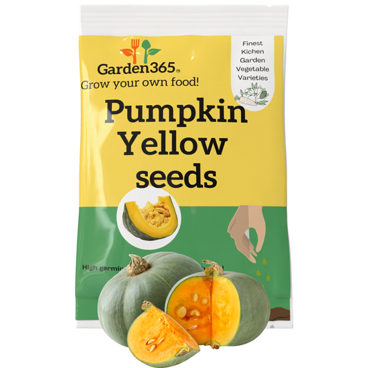 Organic Heirloom Yellow Pumpkin Seeds - Garden365