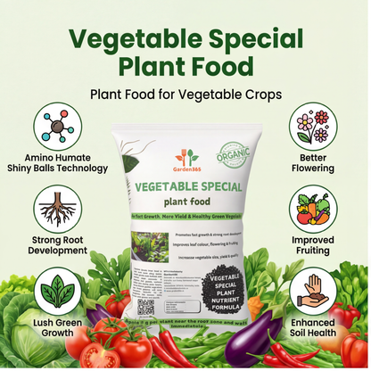 Vegetable Special Plant Food – Growth Booster for Healthy Plants, More Flowers & Higher Yield (Apply Up to 100 Plants / Times)