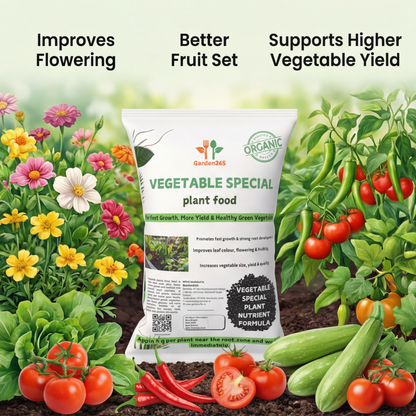 Vegetable Special Plant Food – Growth Booster for Healthy Plants, More Flowers & Higher Yield (Apply Up to 100 Plants / Times)