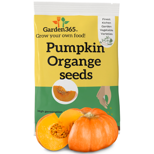 Organic Heirloom Orange Pumpkin Seeds - Garden365