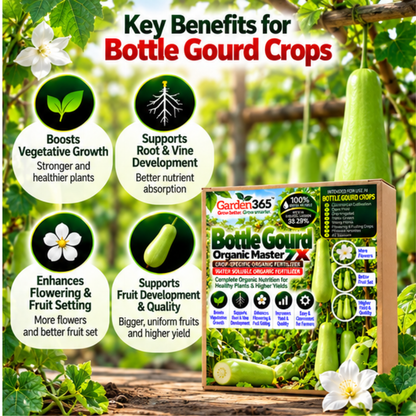 Bottle Gourd Organic Master 7X Crop-Specific Organic Fertilizer Water Soluble Organic Fertilizer