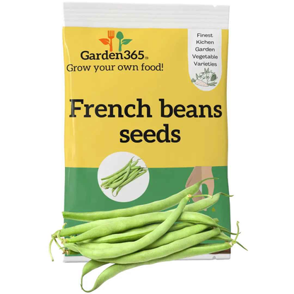 French Beans Seeds (Green Beans / Haricot Vert) | Organic Heirloom Naati Seeds | 30 Seeds | Kitchen Garden Seeds of फरसबी / ಹುರಳಿಕಾಯಿ / బీన్స్ / பீன்ஸ் / പയർ