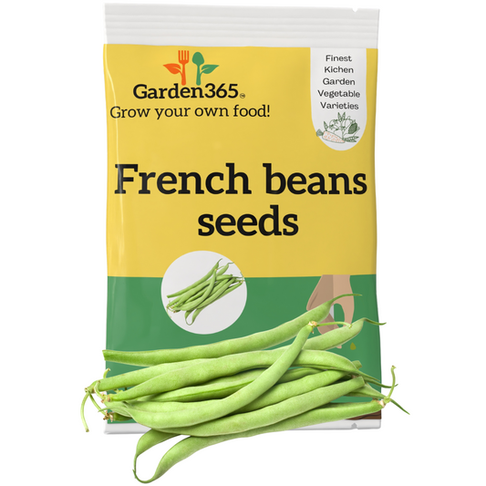 Organic Heirloom French Beans Seeds (Green Beans / Haricot Vert) - Garden365