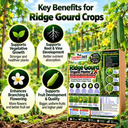 Ridge Gourd Organic Master 7X Crop-Specific Organic Fertilizer Water Soluble Organic Fertilizer