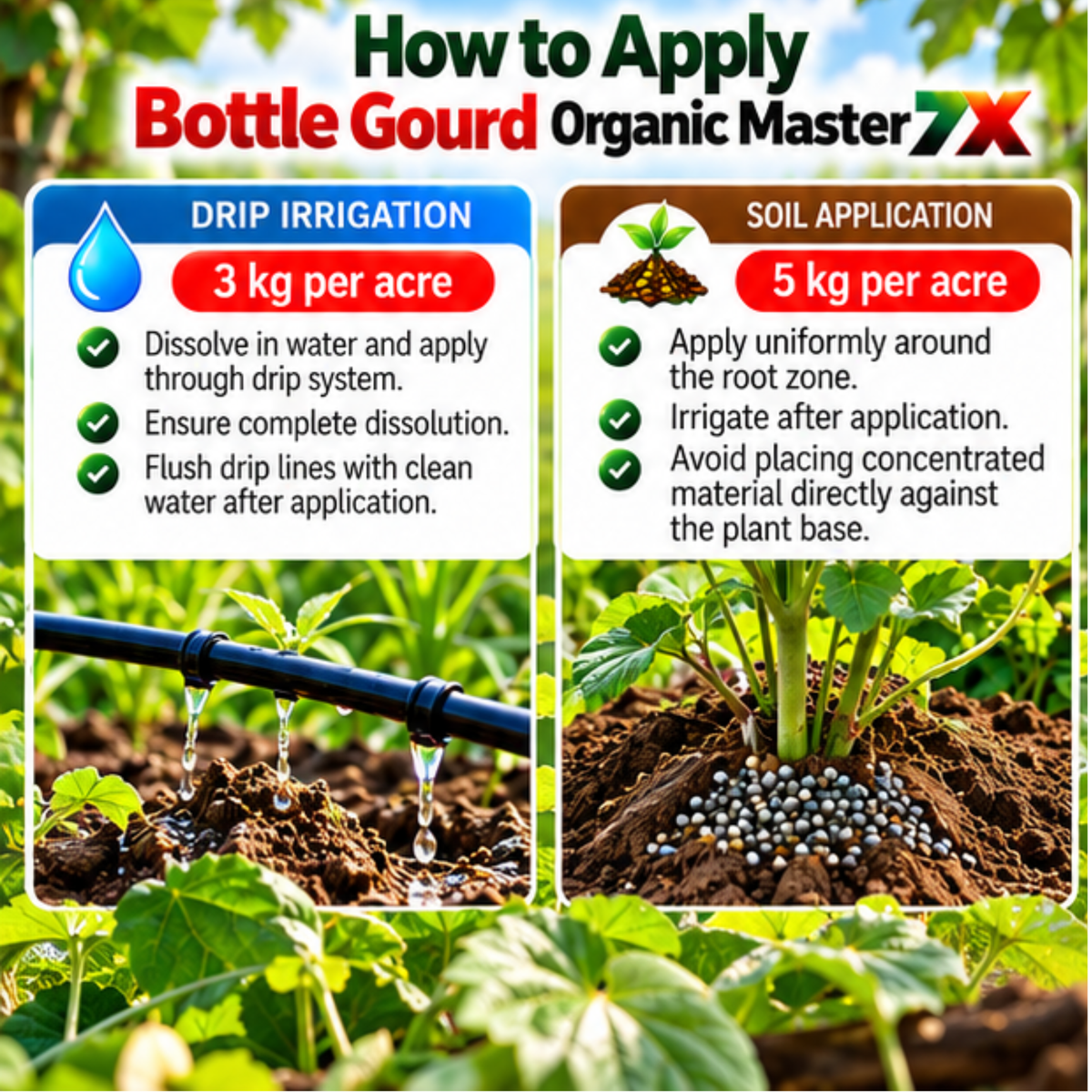 Bottle Gourd Organic Master 7X Crop-Specific Organic Fertilizer Water Soluble Organic Fertilizer