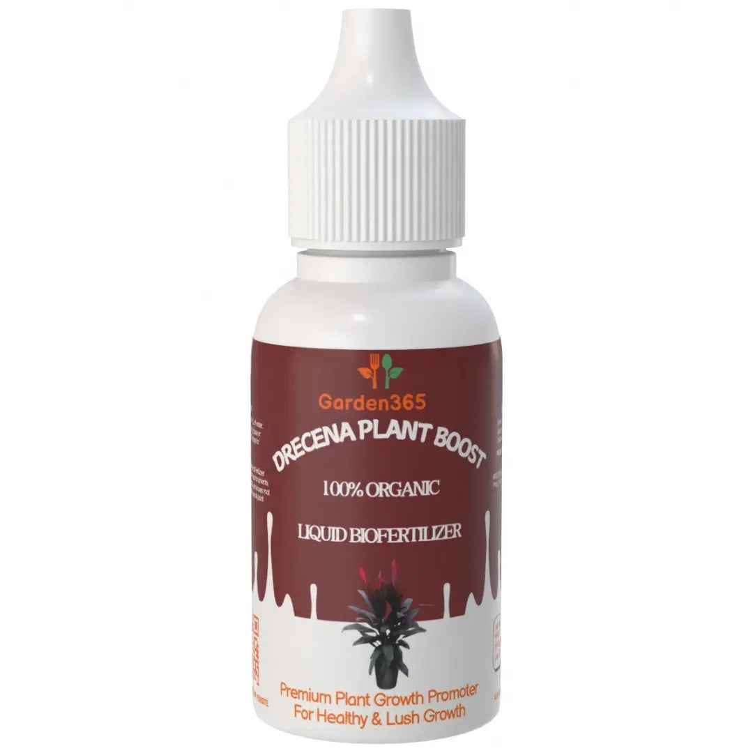 Dracaena Plant Boost  Organic Bio Fertilizer for Dracaena 50 ml  Garden365