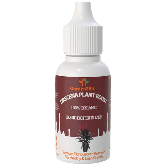 Dracaena Plant Boost – Organic Bio Fertilizer for Dracaena (50 ml | Buy 1 Get 2 Free!) - Garden365