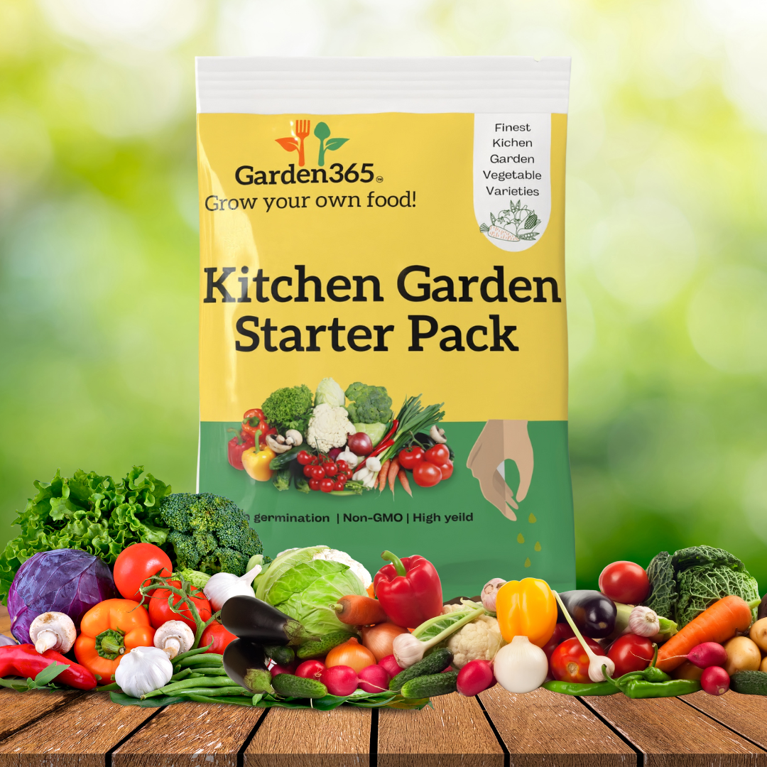 Garden365 Kitchen Garden Seeds Starter Pack | 6 Easy-to-Grow Vegetables - Garden365