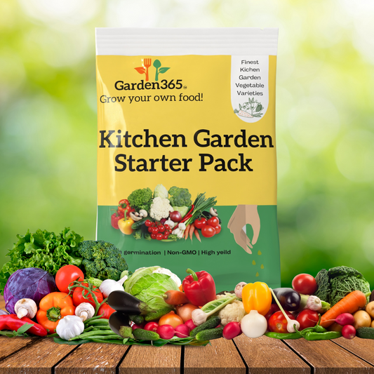 Garden365 Kitchen Garden Seeds Starter Pack | 6 Easy-to-Grow Vegetables - Garden365
