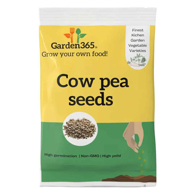 Cowpea Seeds (Lobia / Chavli / Alasande) | Organic Heirloom Naati Seeds | 30 Seeds | Kitchen Garden Seeds of लोबिया / ಅಲಸಂದೆ / బొబ్బర / காராமணி / വള്ളരിക്ക