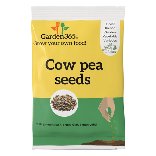 Organic Heirloom Cowpea Seeds (Lobia / Chavli / Alasande) (Copy) - Garden365