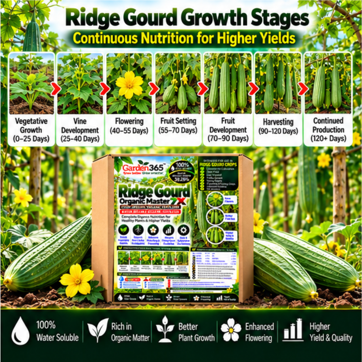 Ridge Gourd Organic Master 7X Crop-Specific Organic Fertilizer Water Soluble Organic Fertilizer