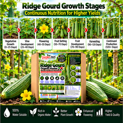 Ridge Gourd Organic Master 7X Crop-Specific Organic Fertilizer Water Soluble Organic Fertilizer