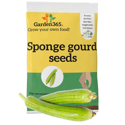 Sponge Gourd Seeds (Luffa / Ridge Gourd) | Organic Heirloom Naati Seeds | 30 Seeds | Kitchen Garden Seeds of घिया तोरी / ನೀರುಹೀರೇಕಾಯಿ / గిలకర / சுரைக்காய் லூஃபா / പടവലങ്ങ ലൂഫാ