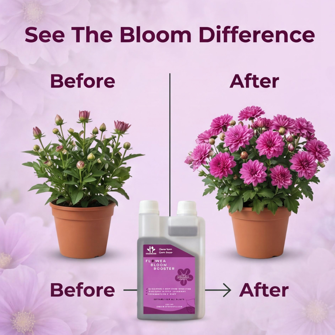 Flower Bloom Booster Liquid Bio Fertilizer 250ml | High Phosphorus Formula | Suitable for All Types of Plants