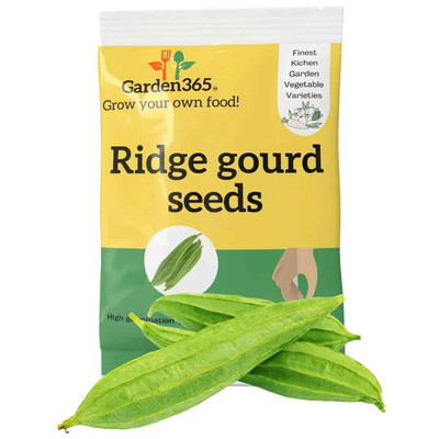 Ridge Gourd Seeds (Turai / Tori) | Organic Heirloom Naati Seeds | 30 Seeds | Kitchen Garden Seeds of तोरई / ಹೀರೇಕಾಯಿ / బీరకాయ / பீர்க்கங்காயி / പടവലങ്ങ